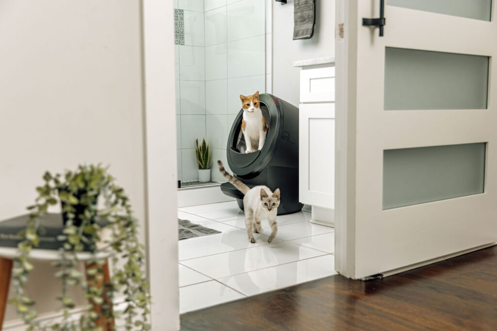 Black LR4 bathroom with cats Litter-Robot 4 review