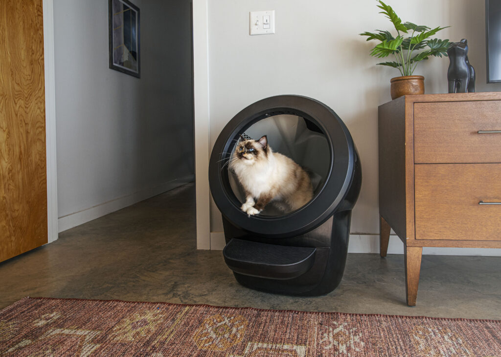 Black LR4 bedroom Whisker Litter-Robot 4 Review