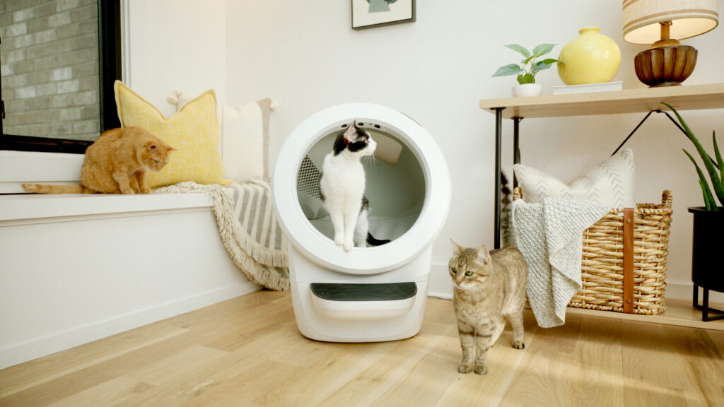 multicat